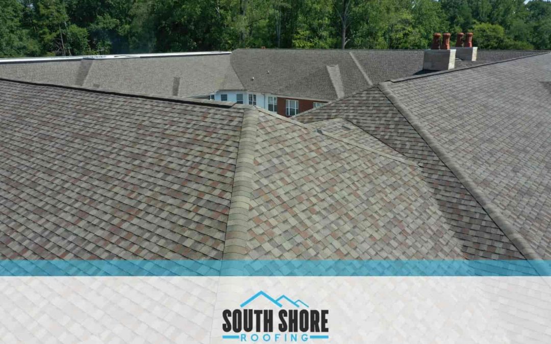 2 Main Types of Shingles That Will Breathe New Life into Your Roof