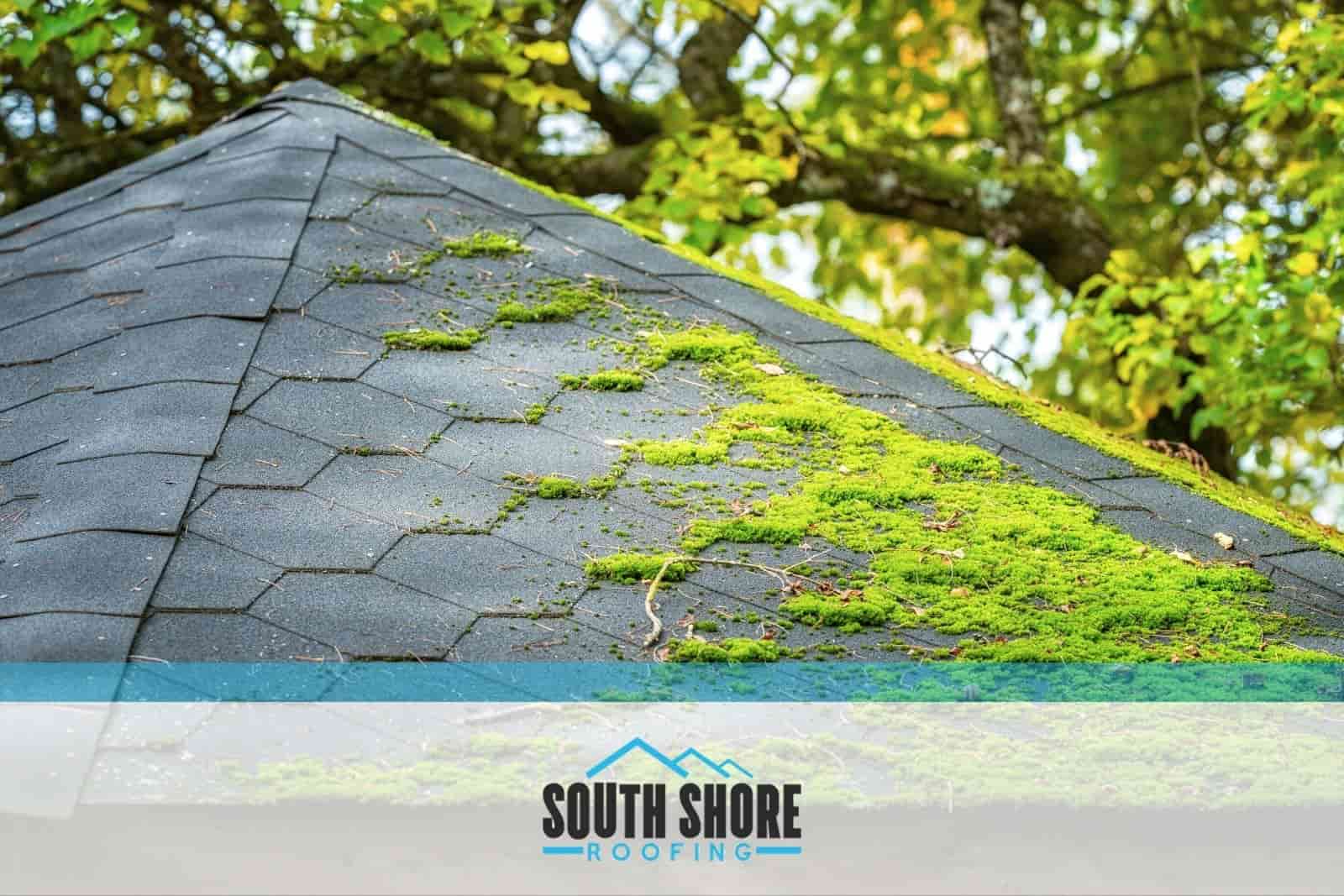 Common Roofing Issues to Look Out for Every Summer
