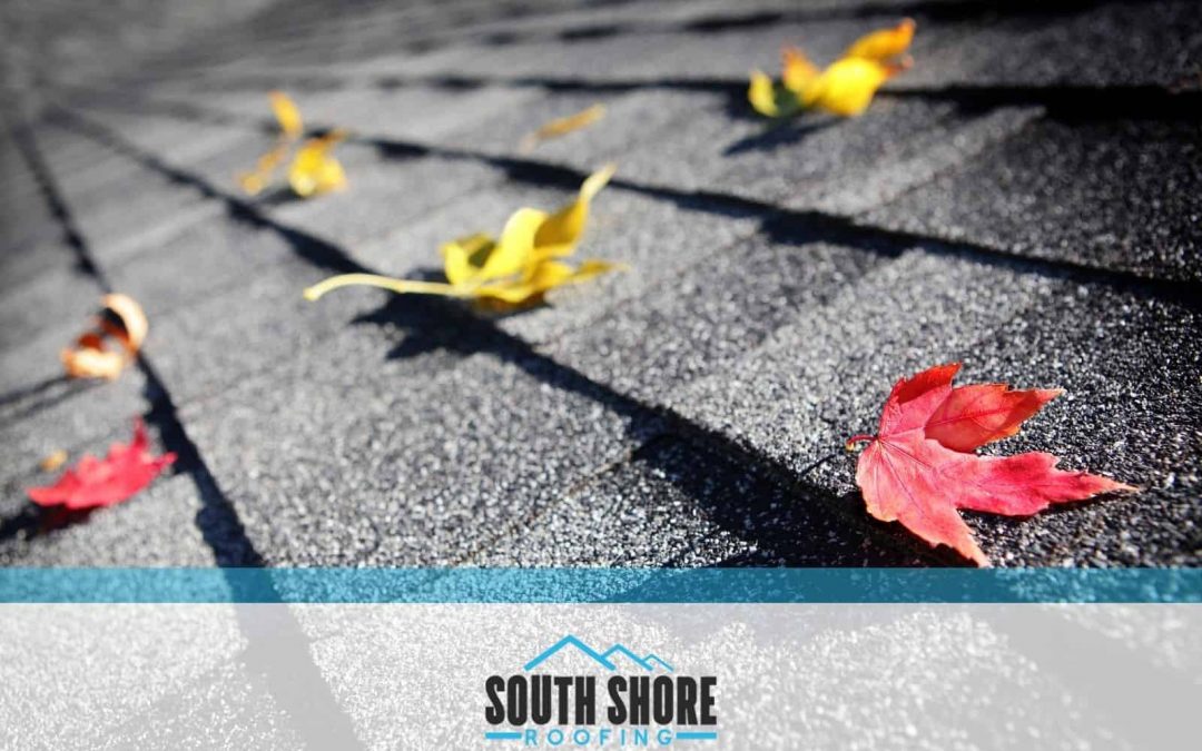 Have You Prepared Your Roof for Fall? 6 Tips from Savannah Roofers