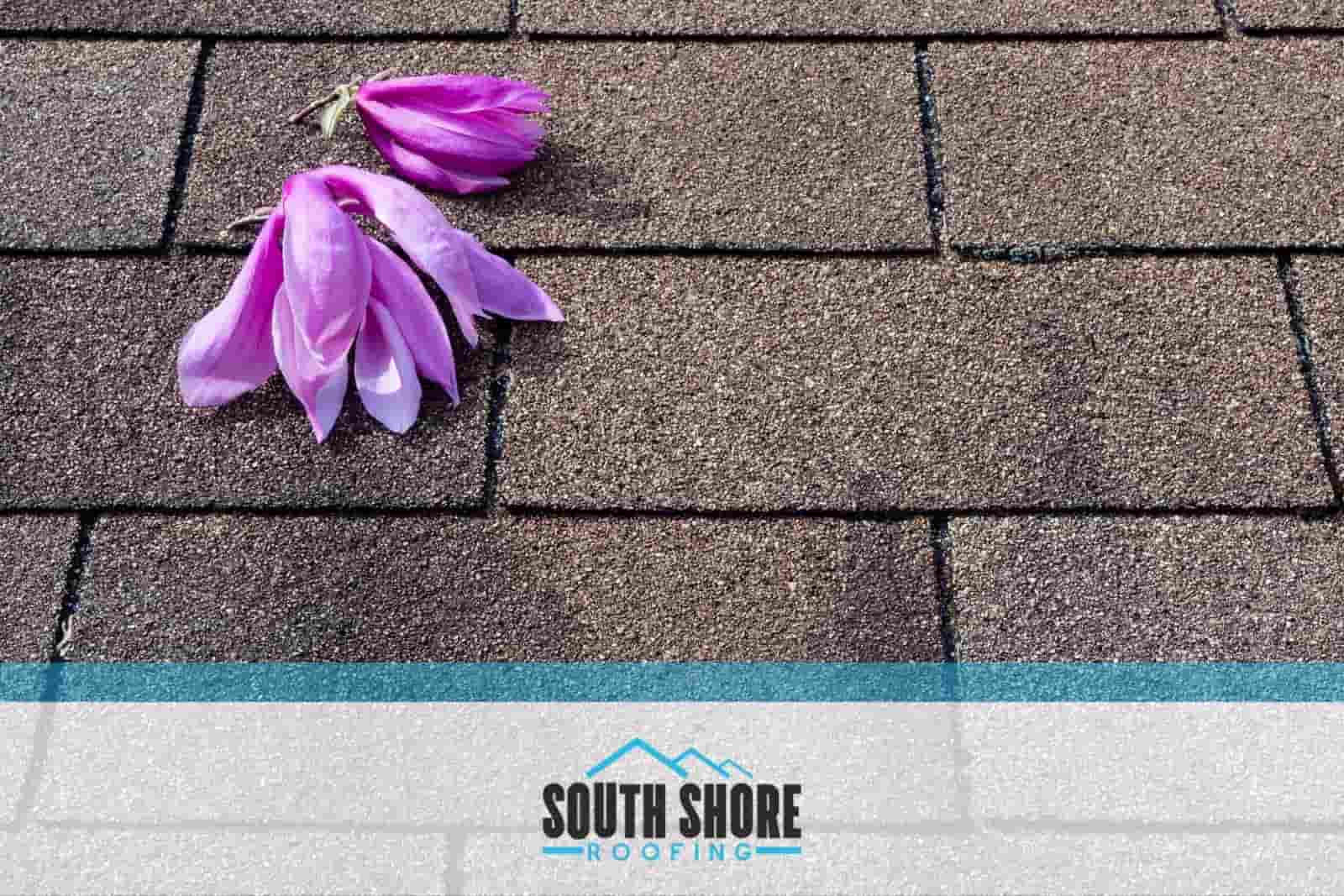 How to Prepare Your Roof for Spring